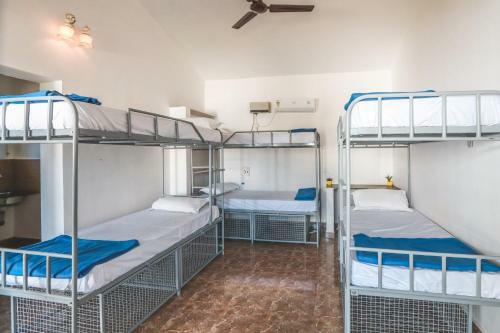 Piggy Hostel Vagator