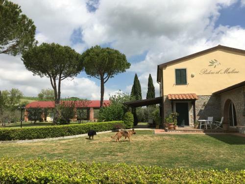 Bed & Breakfast Podere Il Mulino