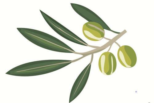 Bed & Breakfast Podere Il Mulino