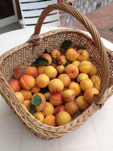 Bed & Breakfast Podere Il Mulino