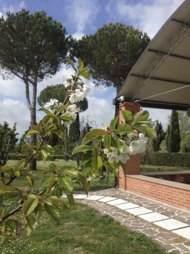 Bed & Breakfast Podere Il Mulino