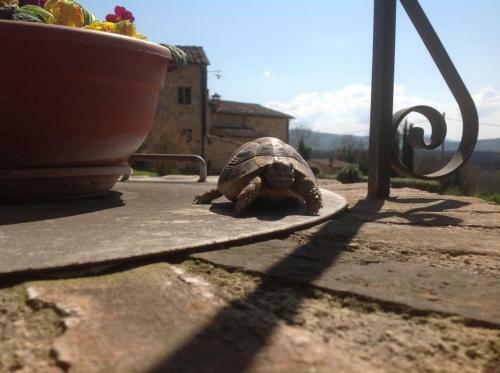Agroturismo Casa Verniano
