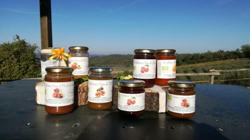 Agroturismo Casa Verniano