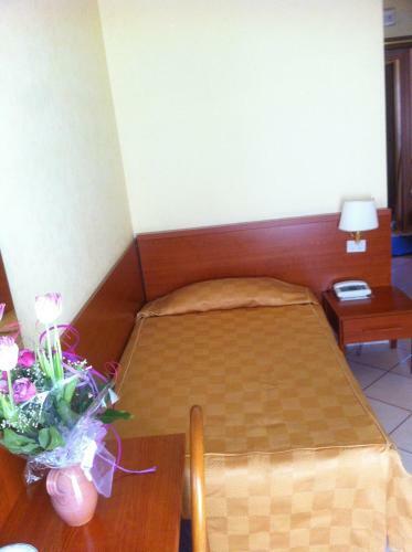 Hotel Albergo Dei Leoni