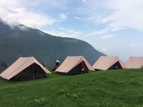 Triund Terrestrial Adventure