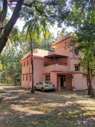 The Betel Grove
