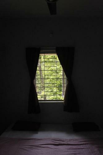 The Betel Grove