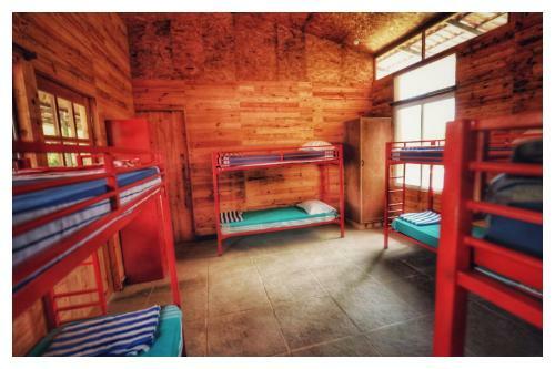 Albergue Woodpacker