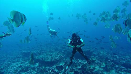 Hotel Bangaram Island Beach Resort