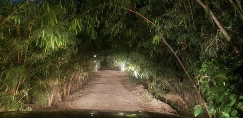 Agroturismo The Westonel