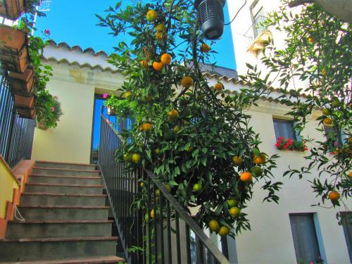 Villa Mansion House - Lemon Court