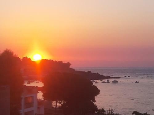 B&B Sea Terrace