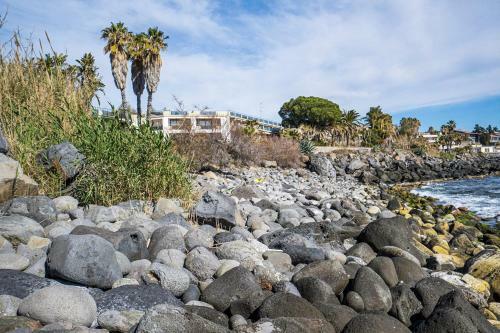 B&B Sea Terrace