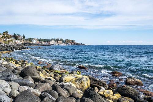 B&B Sea Terrace