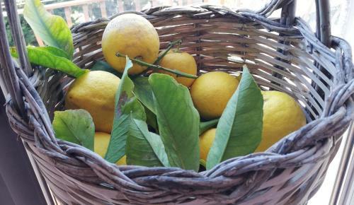 Apartamento San Leone Guest House Valle Dei Templi Agrigento