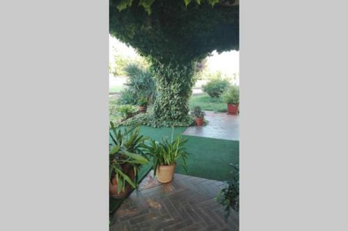 Apartamento Alloggio Nella Villa Dell'edera