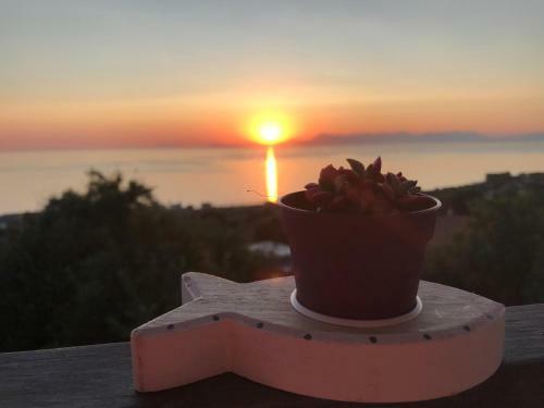 Cilento D'amare B&B