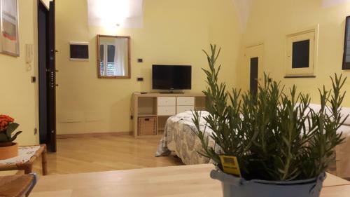 Hostal Ma� Albenga Suites
