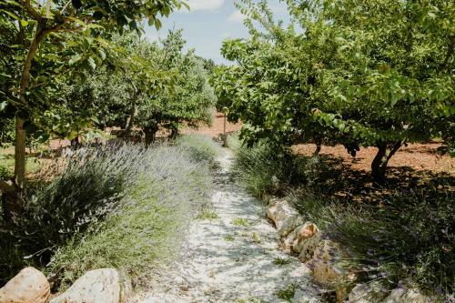 Antica Tenuta Dei Trulli