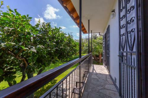 Apartamento La Casetta Sull'albero