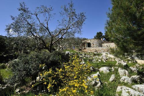 Villa Pajara Del Capo