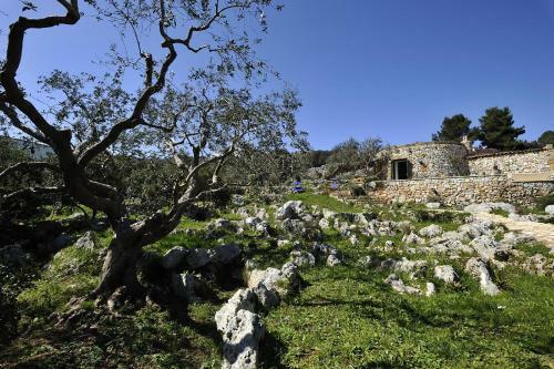 Villa Pajara Del Capo