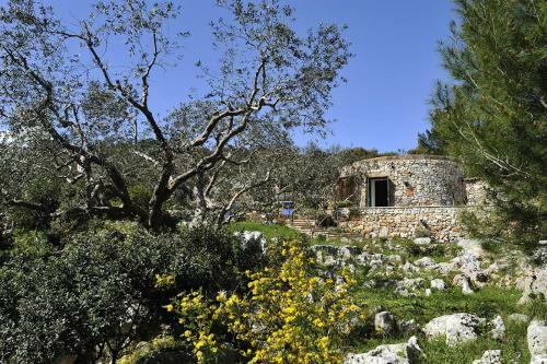 Villa Pajara Del Capo