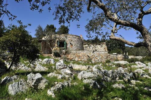 Villa Pajara Del Capo