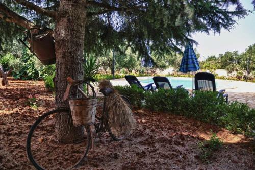 Villa Dory