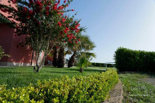 Bed & Breakfast Villa Michela Alezio