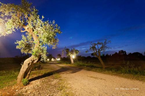 Bed & Breakfast Villa Michela Alezio