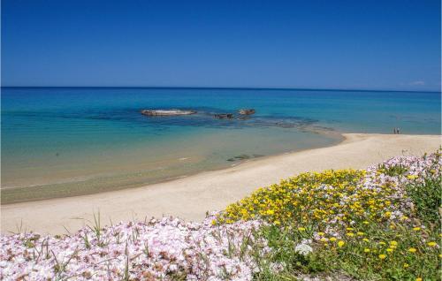 Villa Figy�uruja