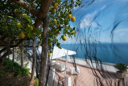 Hostal Villa Orleans