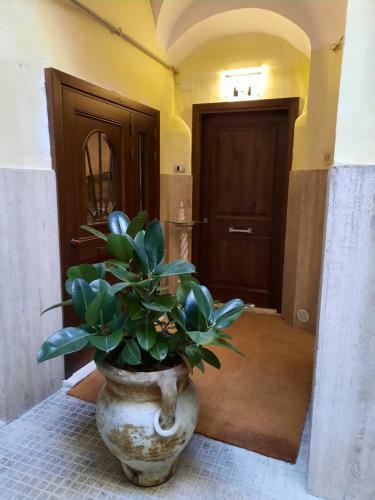 Hostal La Piazzetta
