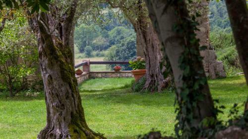 Villa Casale Di Totano 12