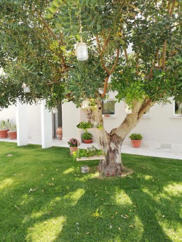 Hotel Coppe Di Murgia B&B