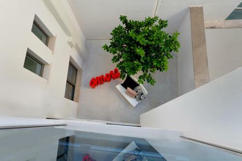 Bed & Breakfast All'ombra