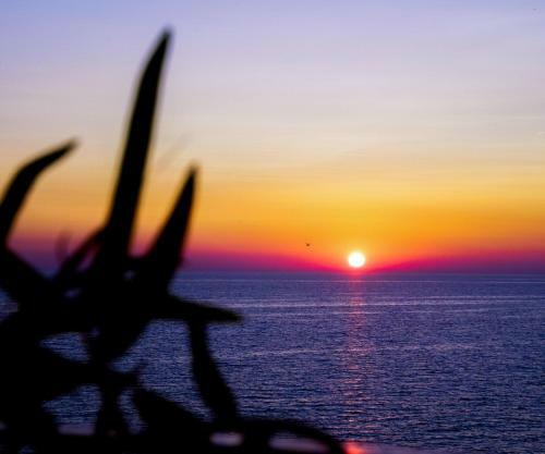 Bed & Breakfast Ritual Sunset Lover