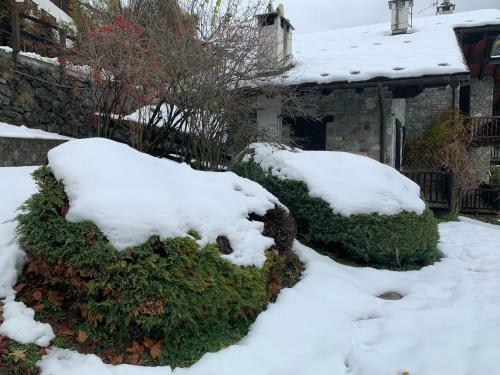 Apartamento Appartamento Chalet Montagna