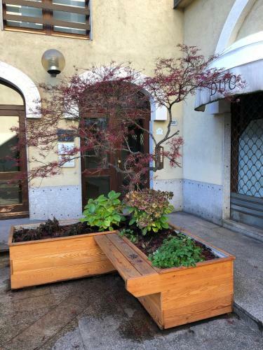 Apartamento Al Couronne