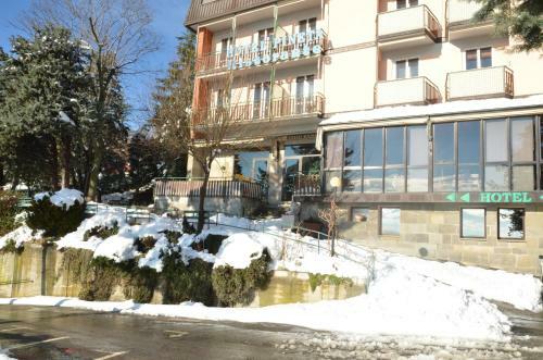 Hotel Pineta