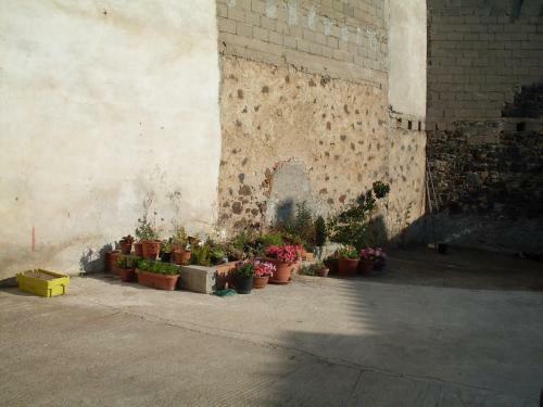 Apartamento Residence Orchidea 1
