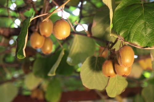 Bed & Breakfast Casa Del Girasole