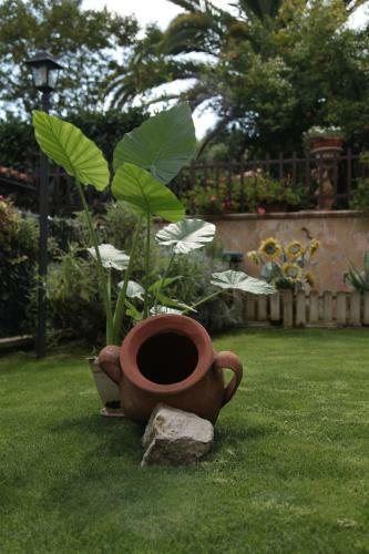 Bed & Breakfast Casa Del Girasole
