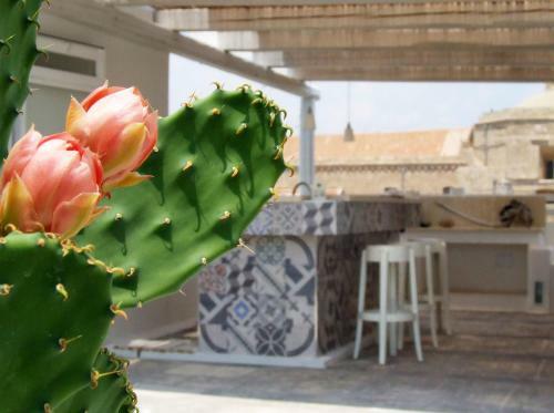 Hostal Luv� Affittacamere