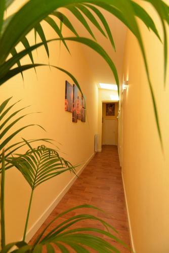 B&B Portacastello