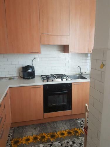 Santostefano Apartment Aosta Centro
