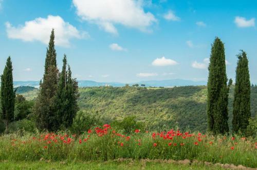 Argiano Villa Sleeps 16 Wifi