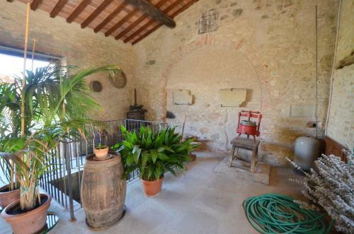 Villa Borgo Frosini 6