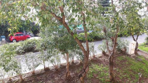Hostal Marilena - La Bouganville